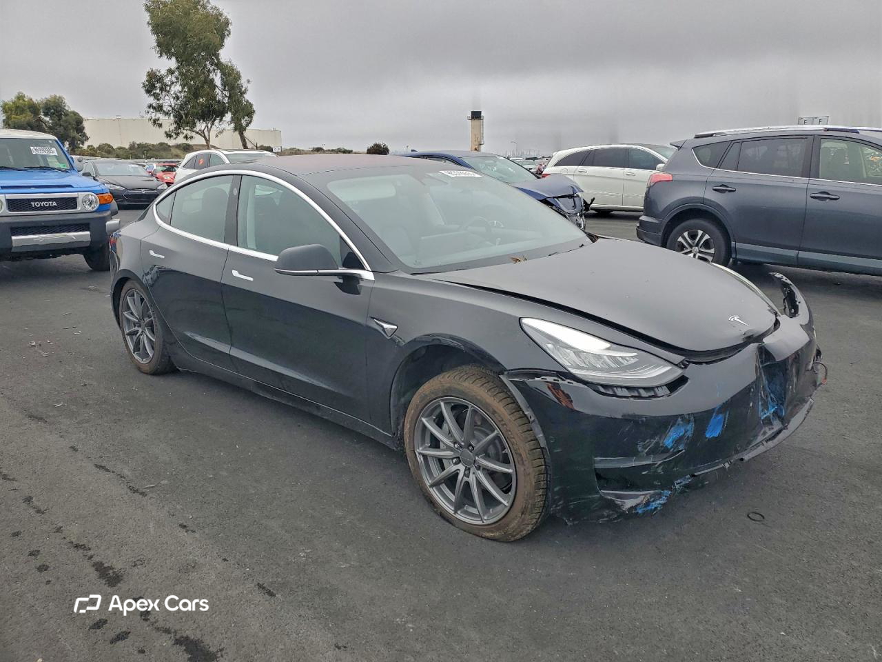 Tesla Model 3 2019