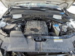 Audi Q5 2011