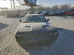 Dodge Challenger 2021