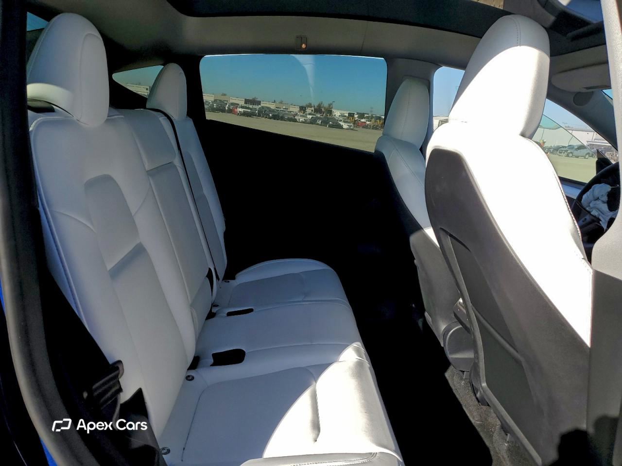Tesla Model Y 2024