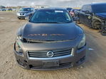 Nissan Maxima 2014