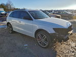 Audi SQ5 2016