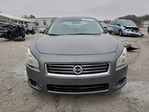 Nissan Maxima 2014