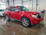 Ford Escape 2012