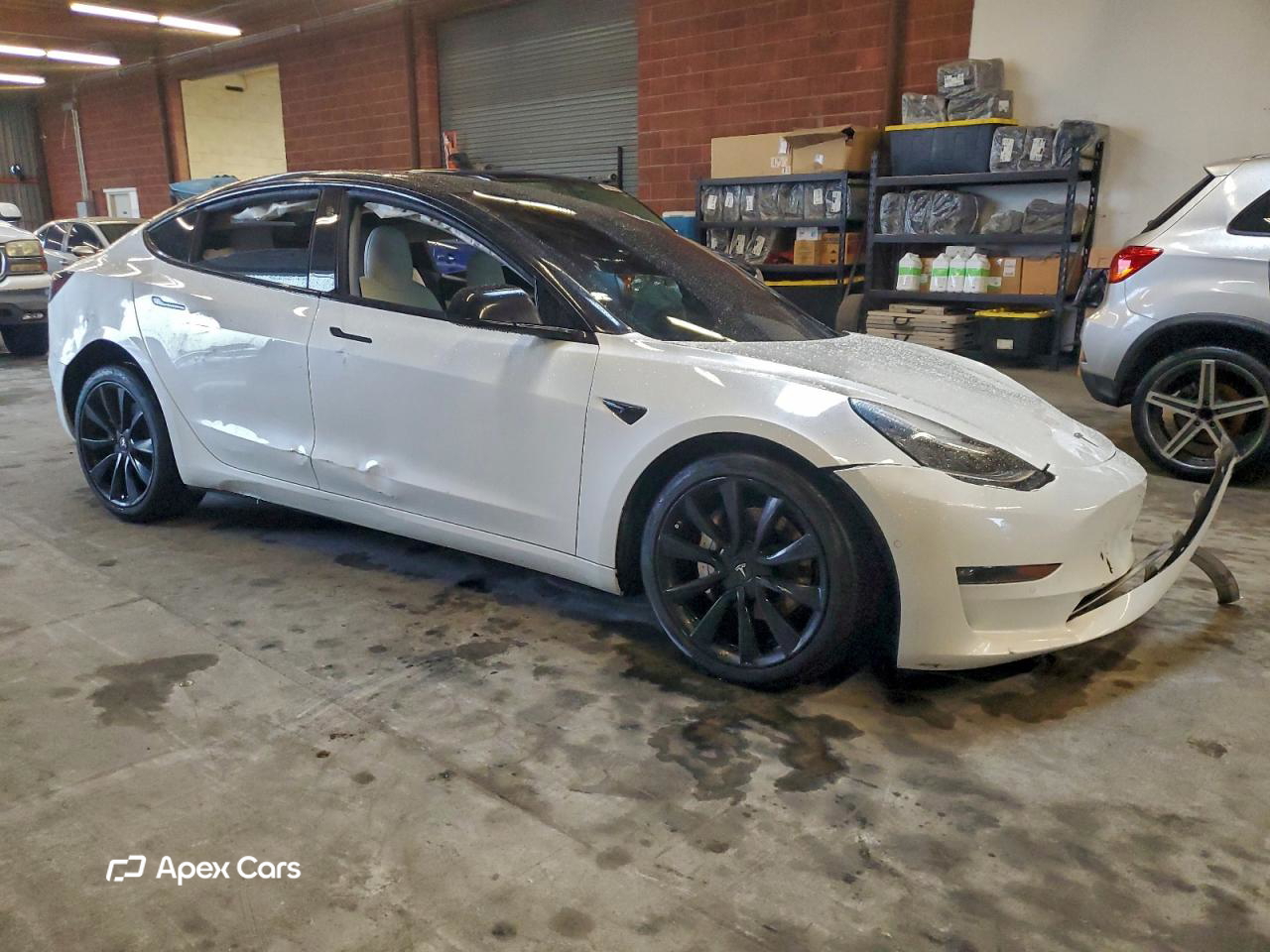 Tesla Model 3 2019