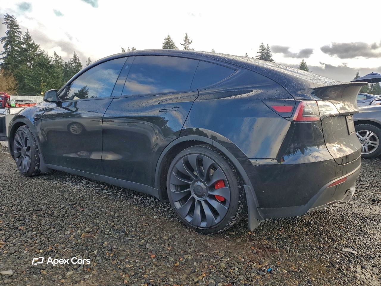 Tesla Model Y 2024