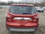 Ford Escape 2015