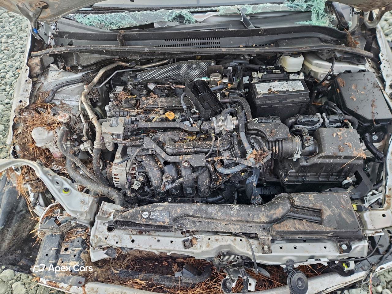Toyota Corolla 2025