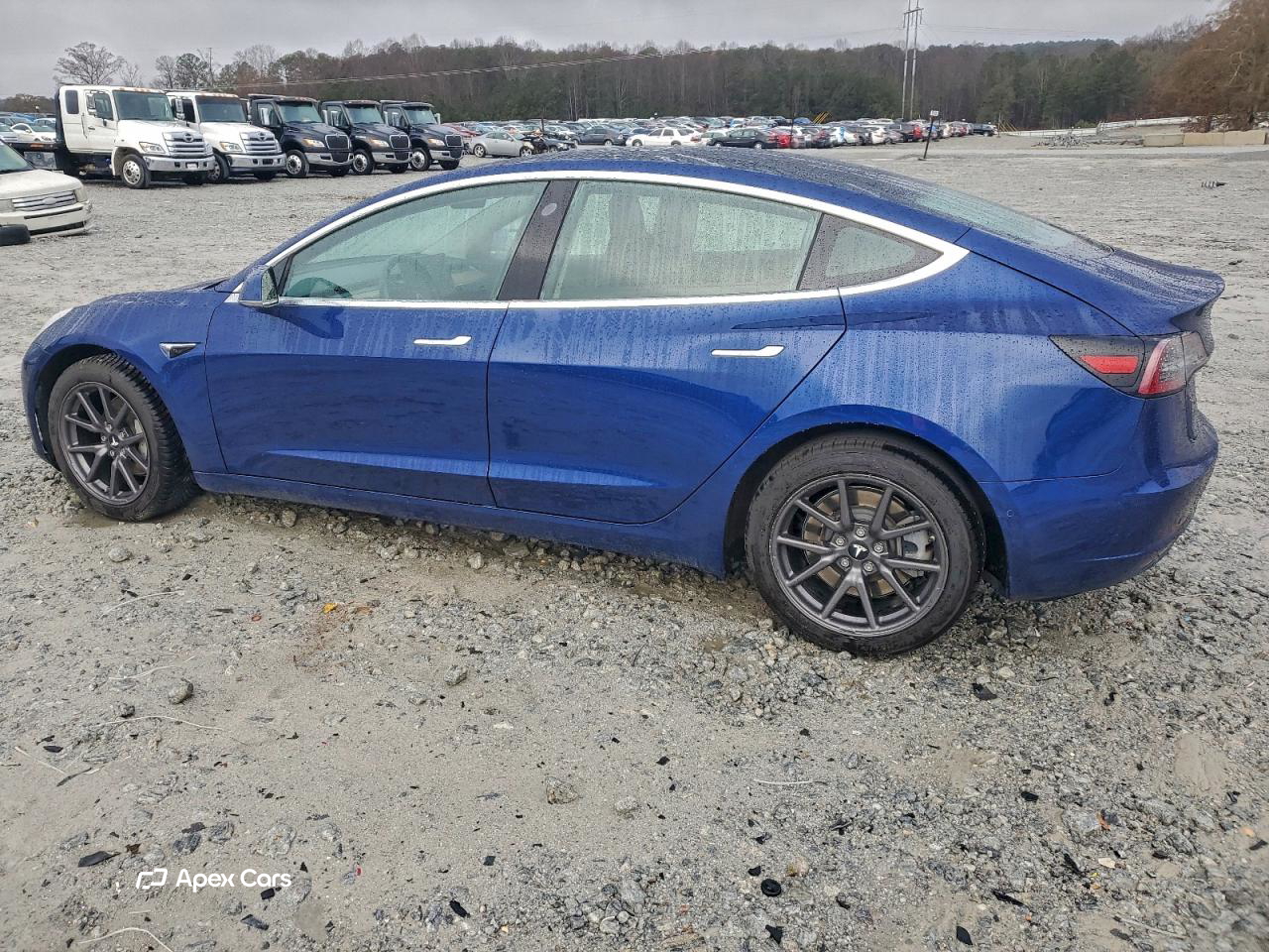 Tesla Model 3 2019