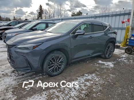 Lexus NX 2022 - Image 1 of 13