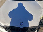 BMW Series 5 2019