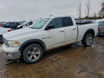 Dodge RAM 2010