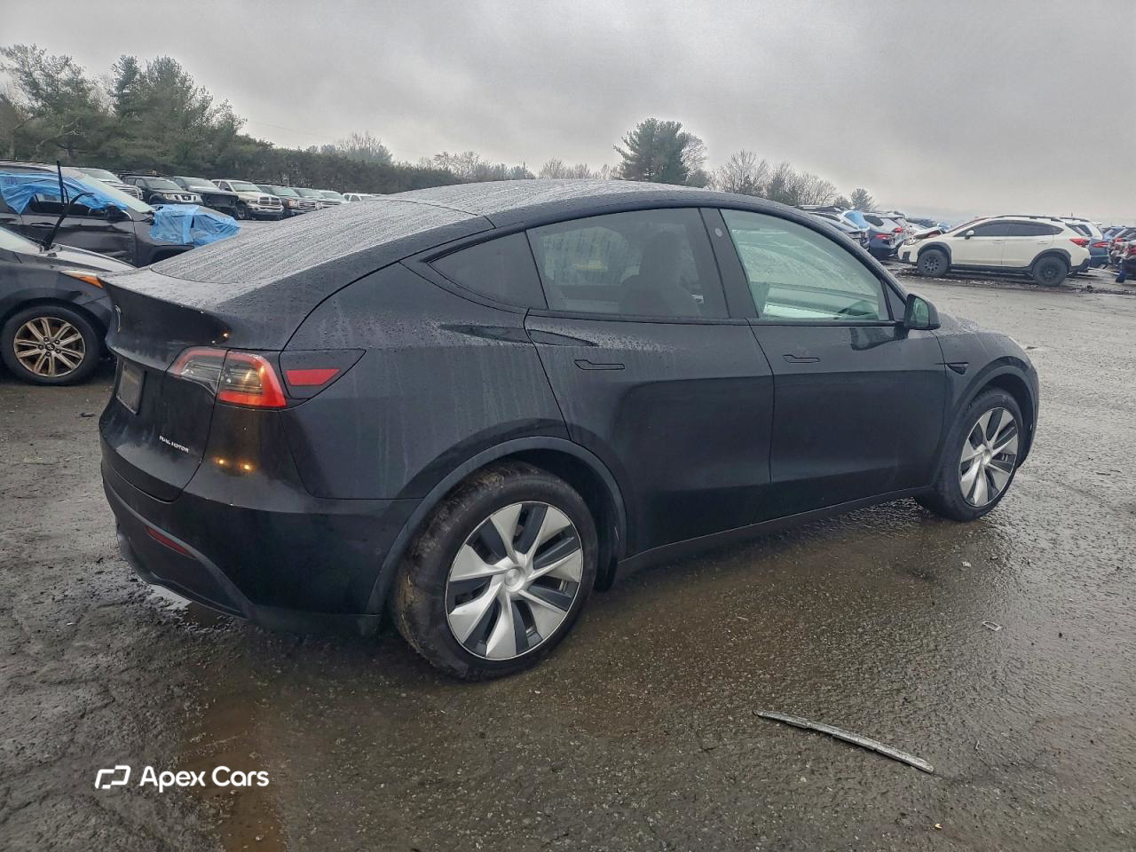 Tesla Model Y 2021