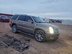 Cadillac Escalade 2012