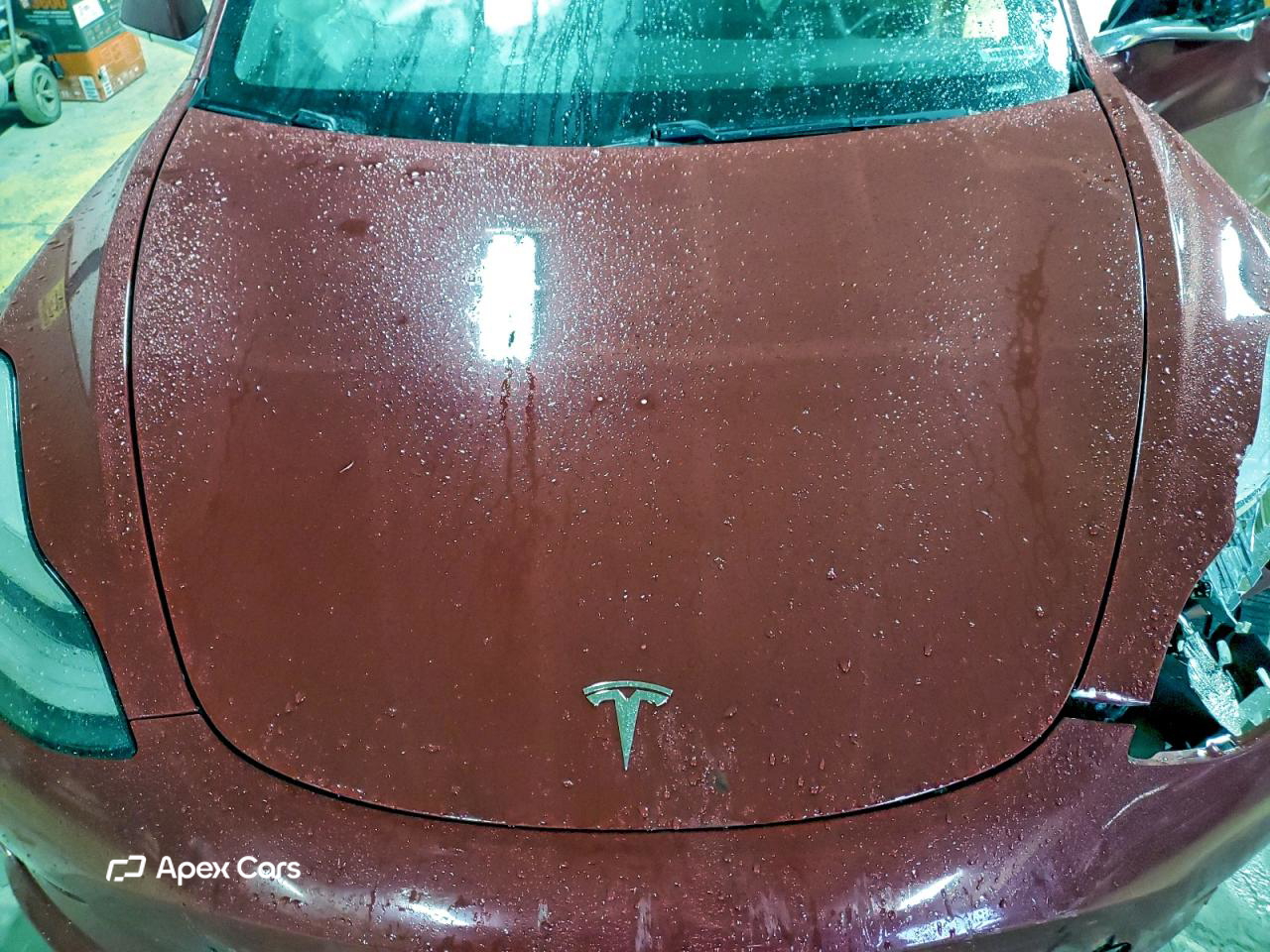 Tesla Model 3 2019