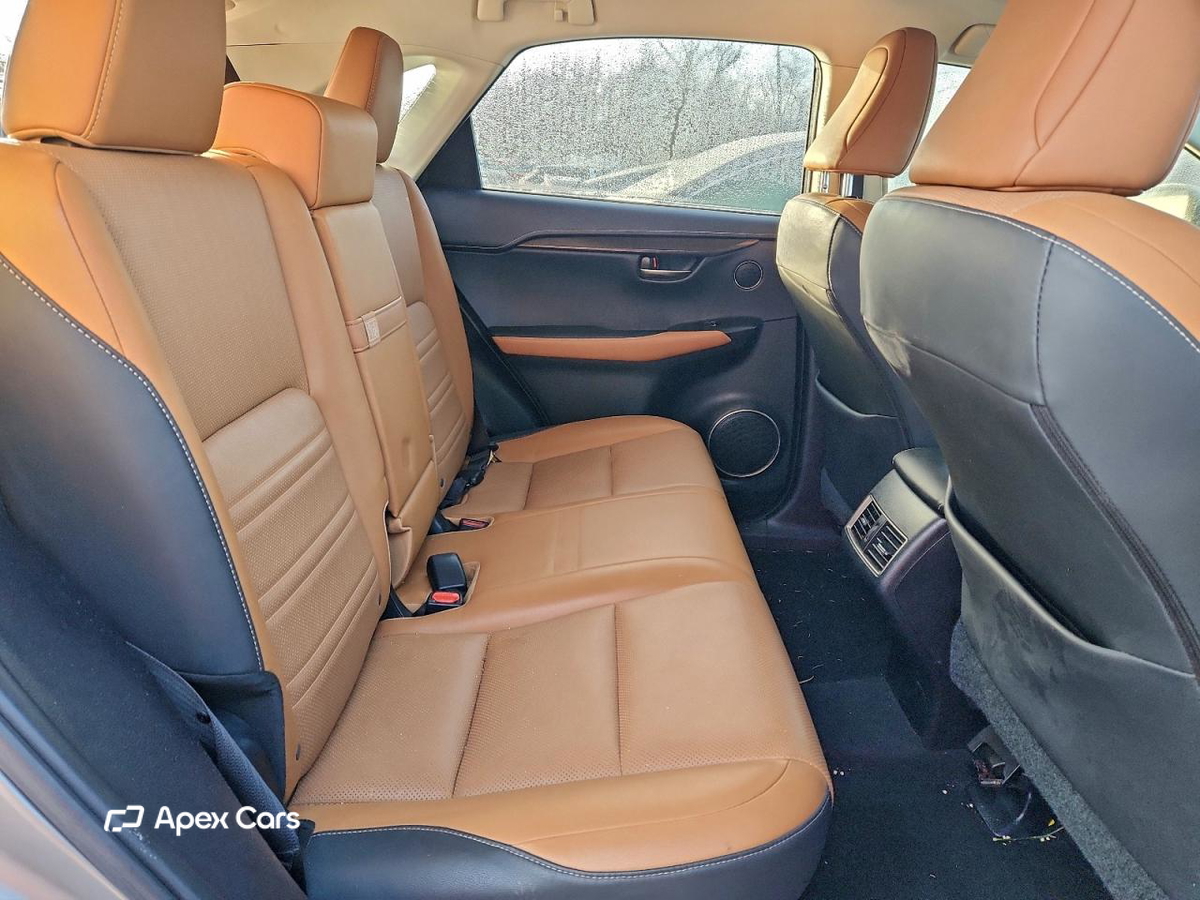 Lexus NX 2019