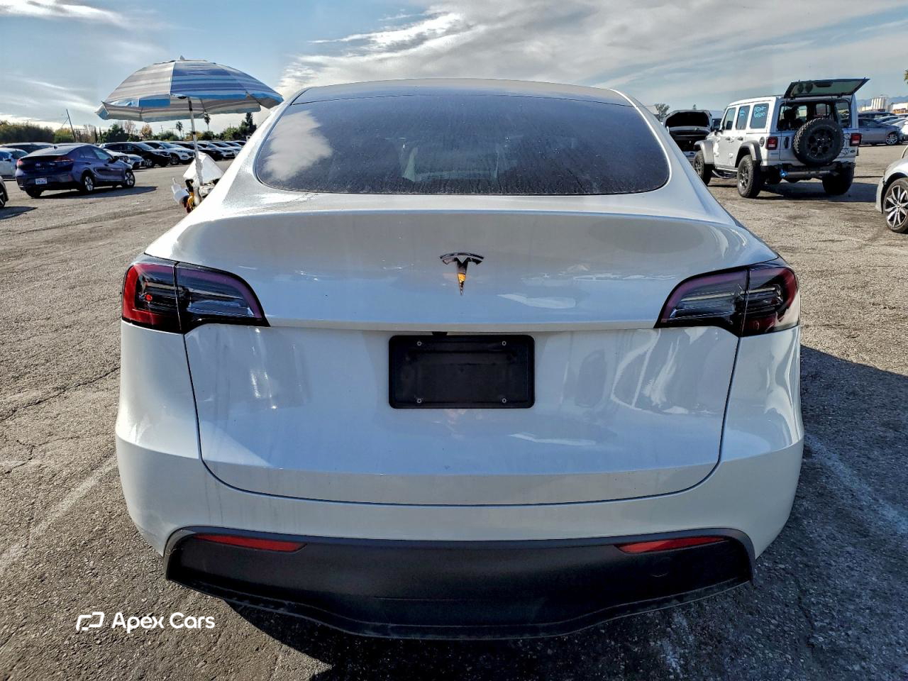 Tesla Model Y 2024