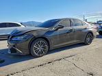 Lexus ES 2023