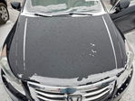Honda Accord 2012