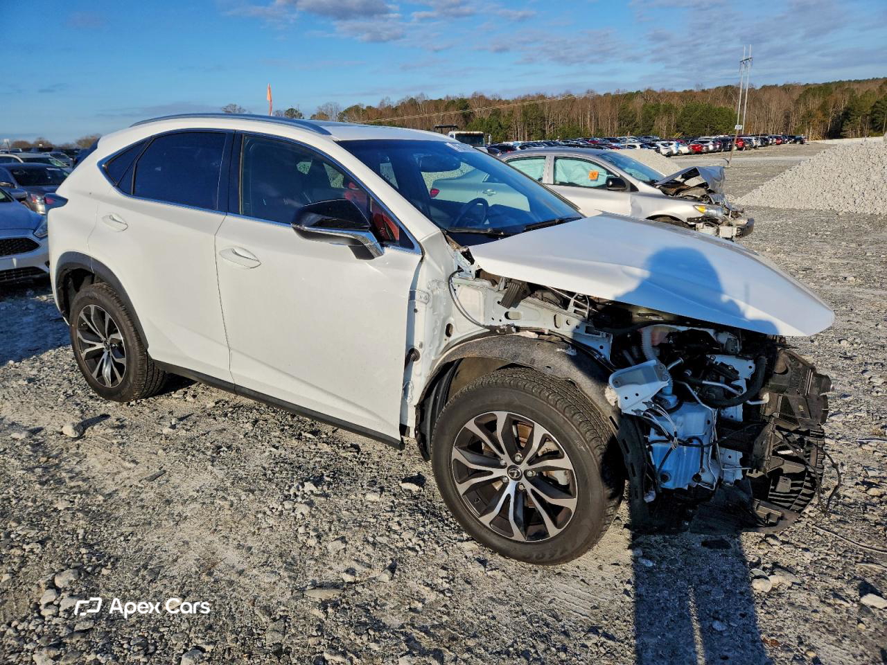 Lexus NX 2017