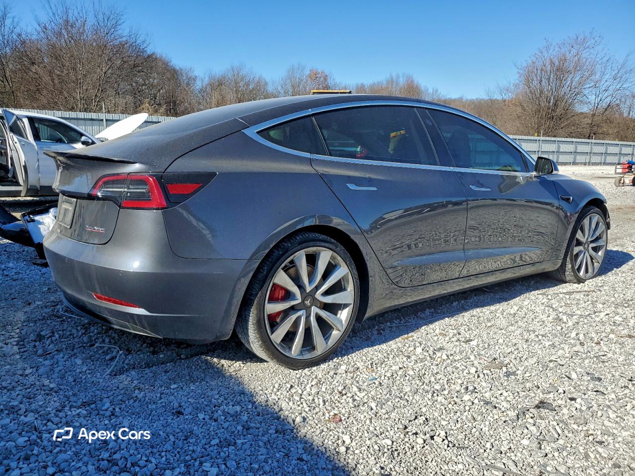 Tesla Model 3 2019
