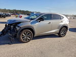 Lexus NX 2021