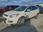 Ford Escape 2016