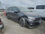 Honda Odyssey 2023