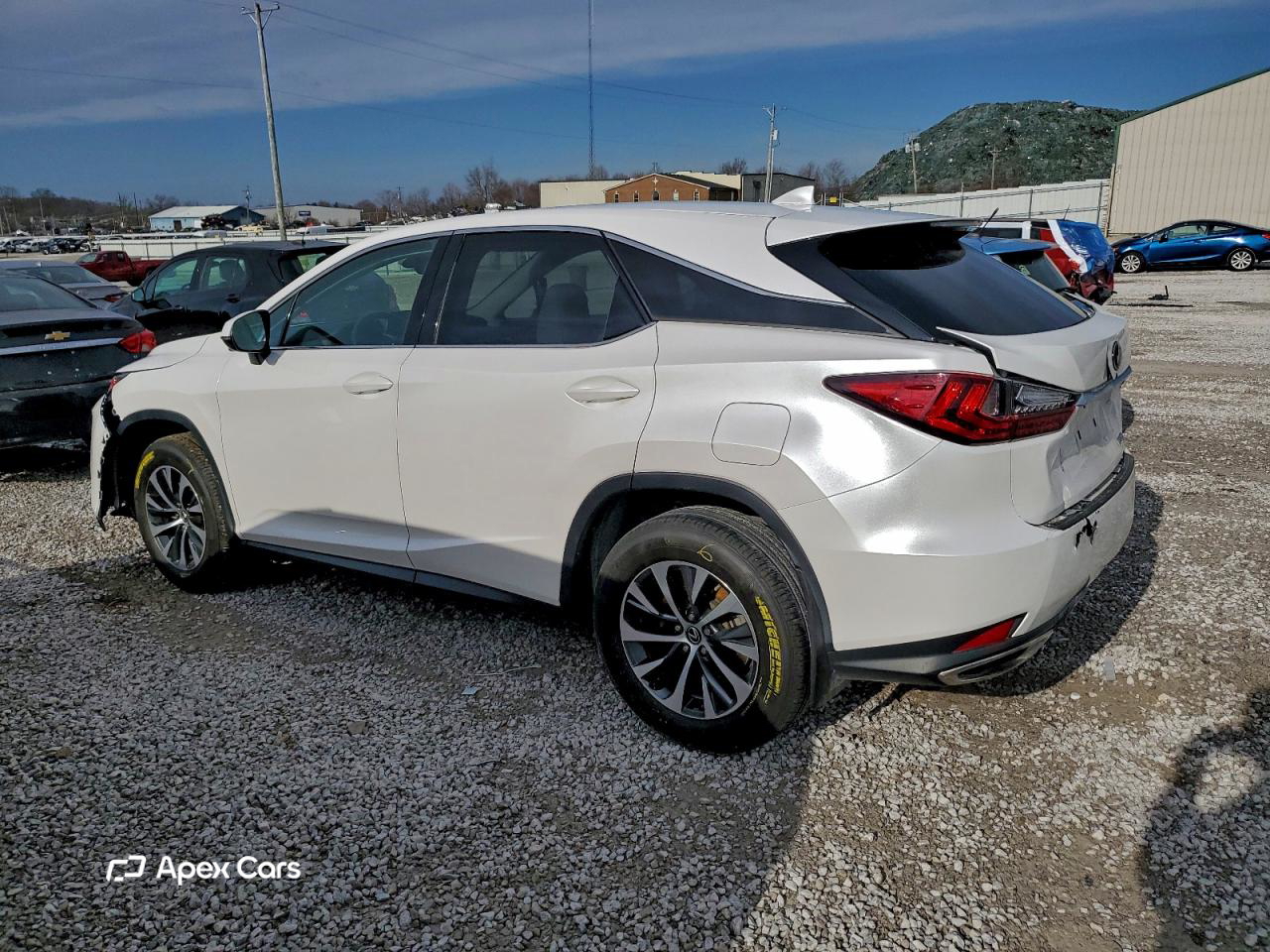 Lexus RX 2020