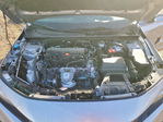 Honda Civic 2024
