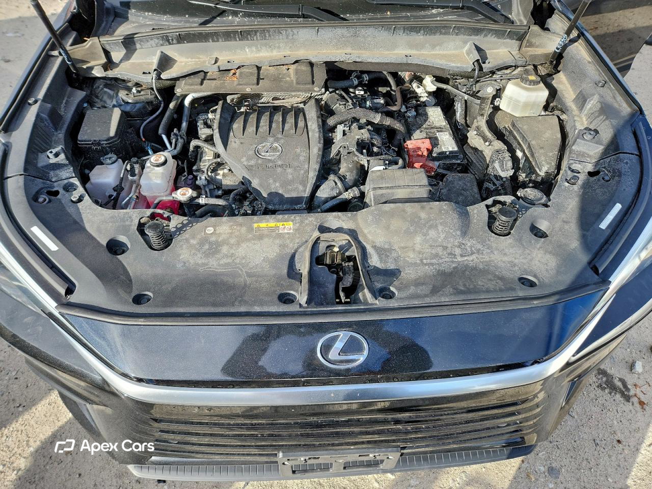Lexus TX 2024