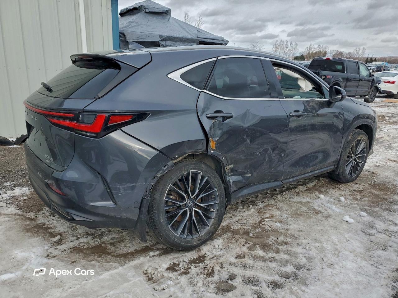 Lexus NX 2022