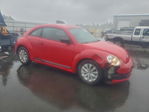 Volkswagen Beetle 2014