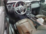 Ford Mustang 2008