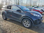 Kia Sportage 2017