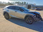 Lexus NX 2021