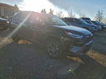 Toyota RAV 4 2023