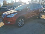 Ford Escape 2014