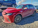 Lexus RX 2024