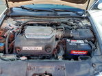 Honda Accord 2010