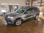 Ford Escape 2024