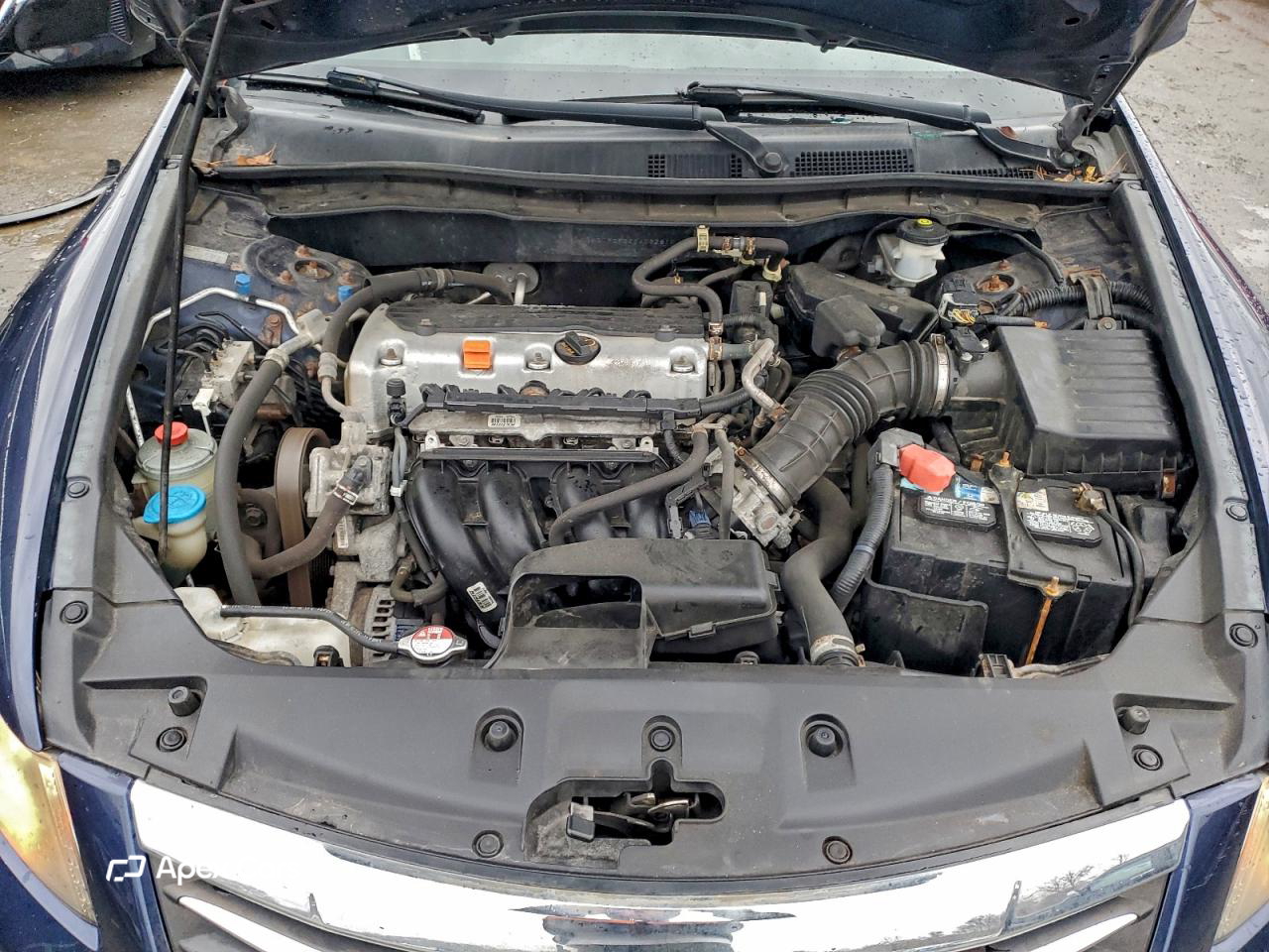 Honda Accord 2011