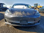 Tesla Model 3 2017
