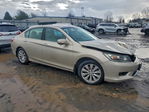 Honda Accord 2013