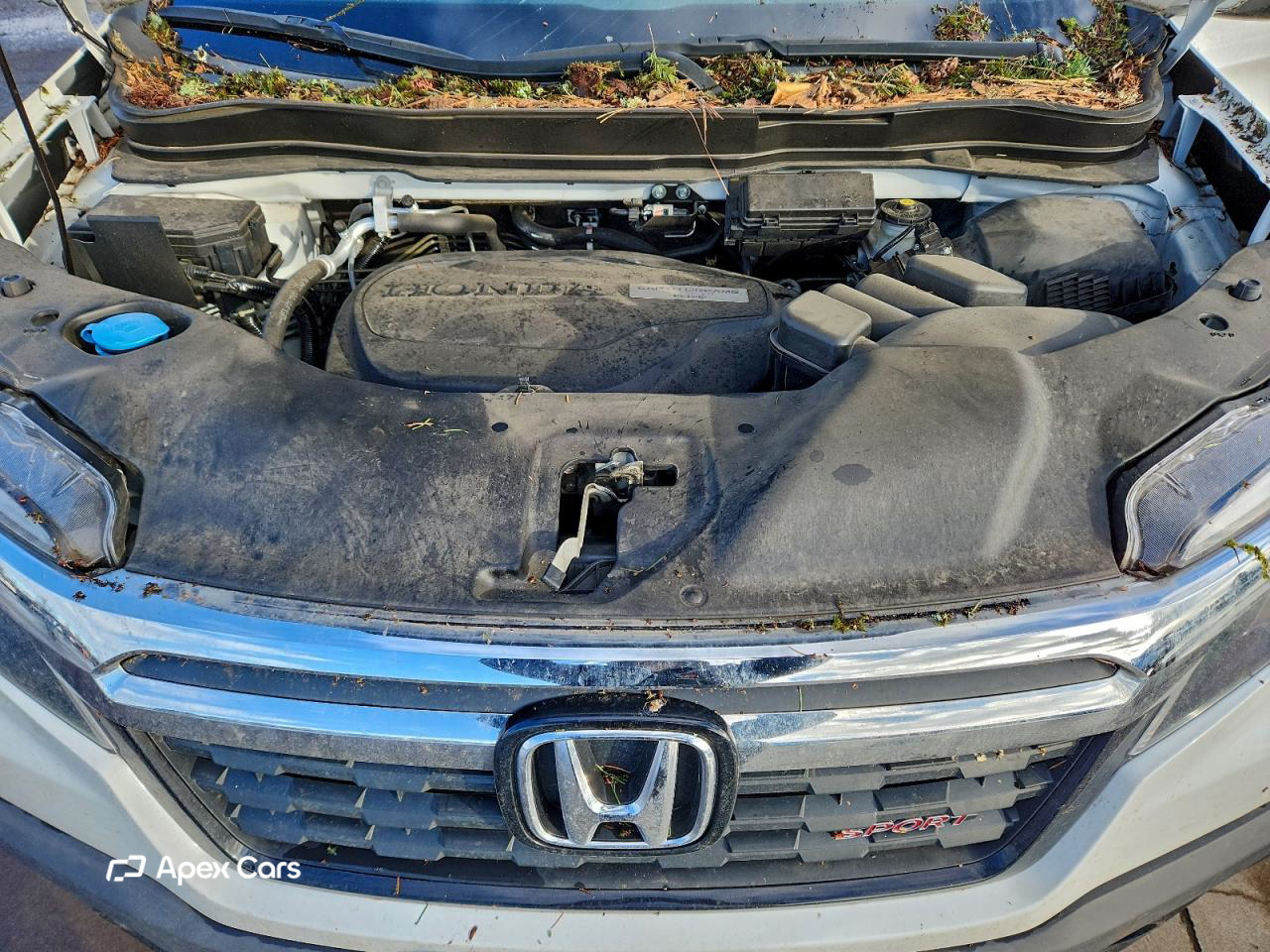 Honda Ridgeline 2019