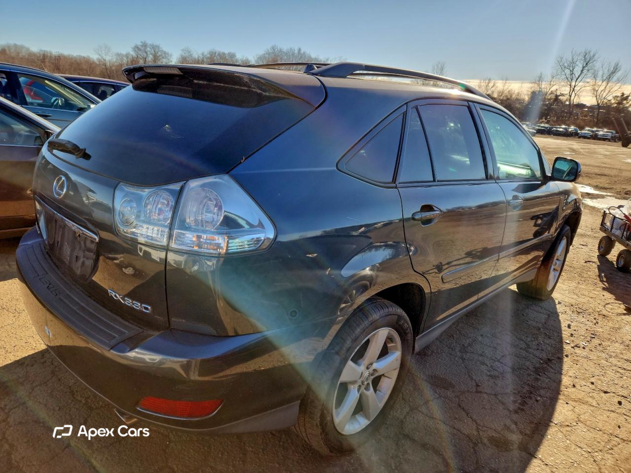 Lexus RX 2004
