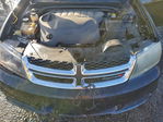 Dodge Avenger 2013