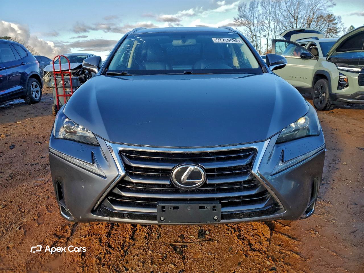 Lexus NX 2017