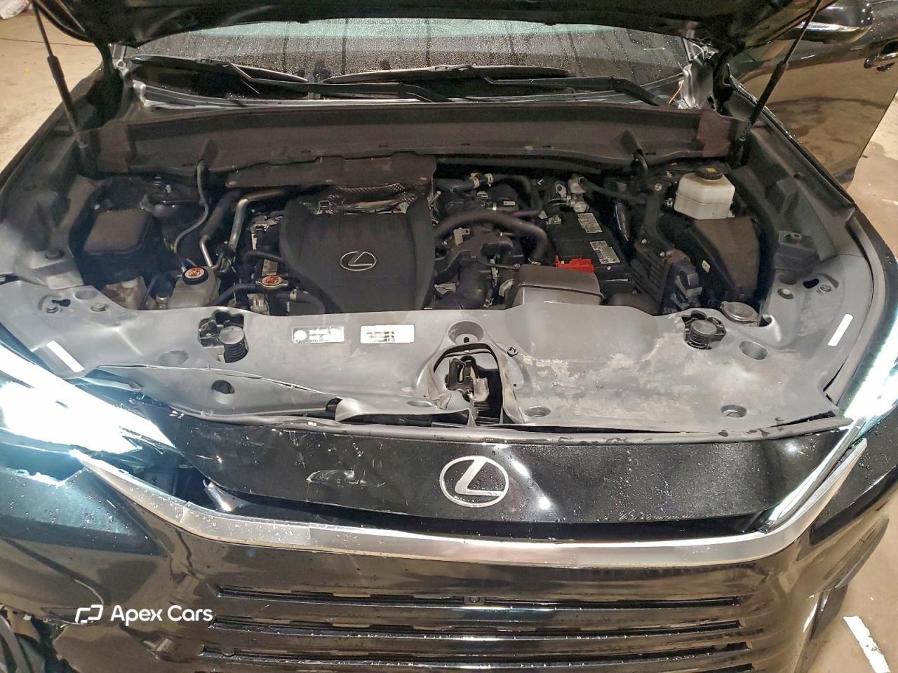Lexus TX 2024