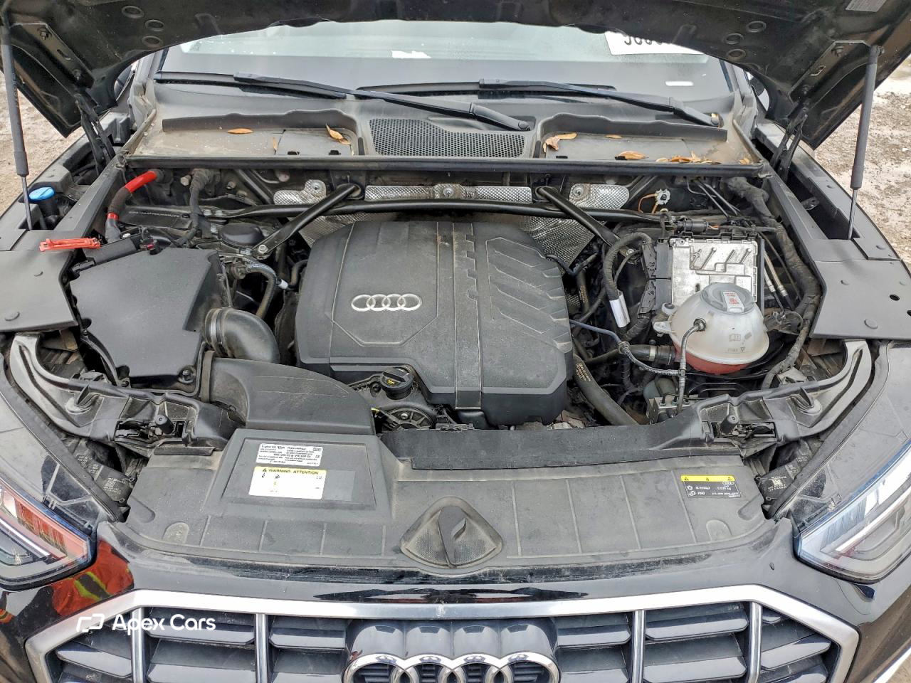 Audi Q5 2021